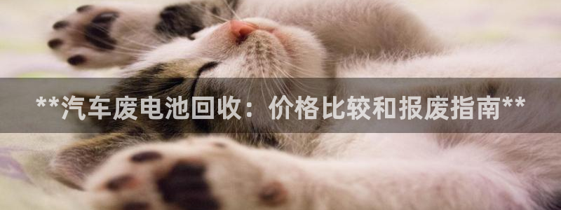 优发国际手机客户端官网