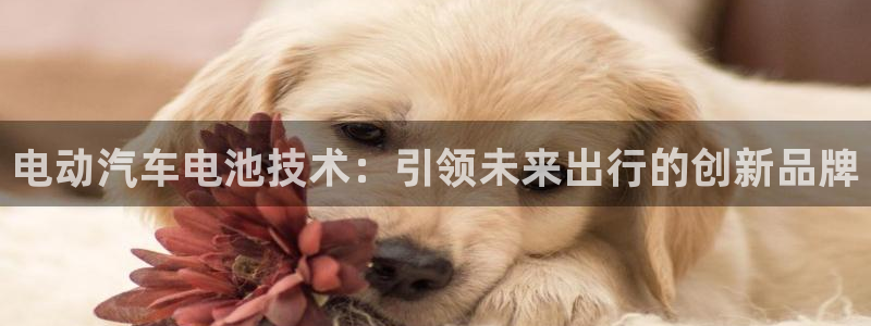 优发国际youfa
