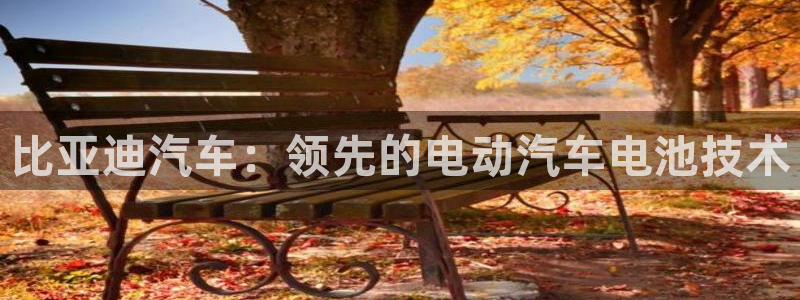 优发国际手机客户端下载安装