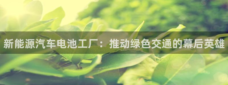 优发国际集团股份有限公司官网