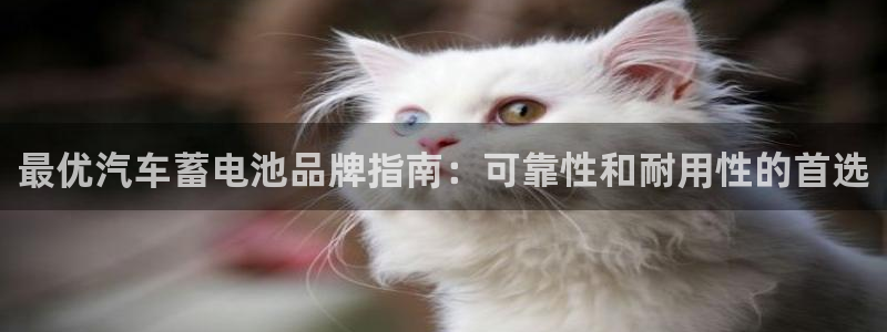 优发娱乐国际线上