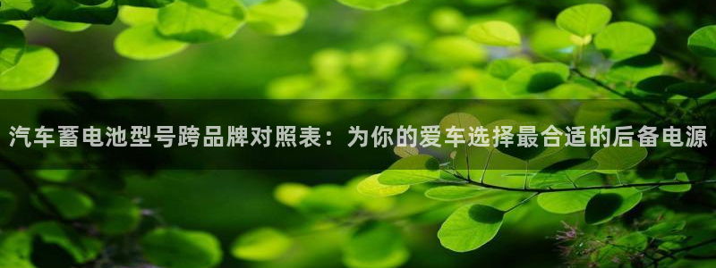 优发国际安卓版下载安装