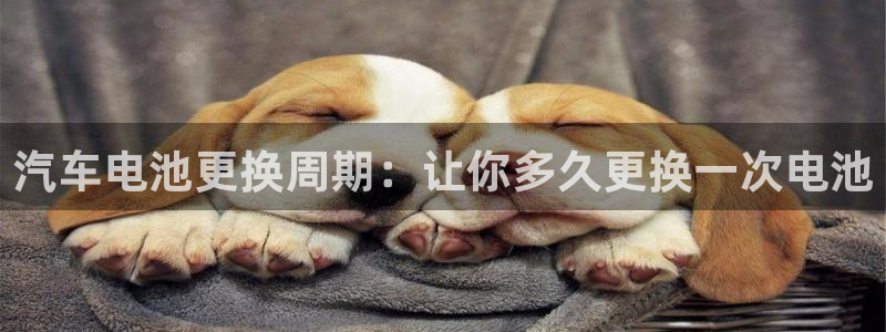 优发国际官网值是多少