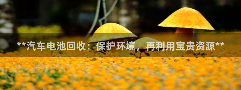 优发国际手机客户端下载官网
