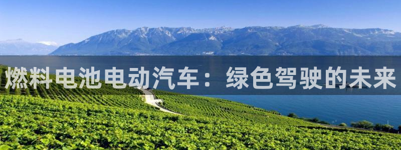 优发国际最新网站下载