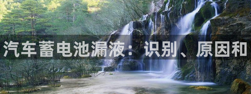 优发国际bob