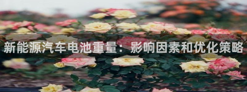 优发国际手机app下载安装最新版