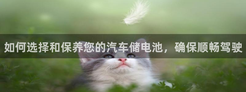 优发国际不出款了吗