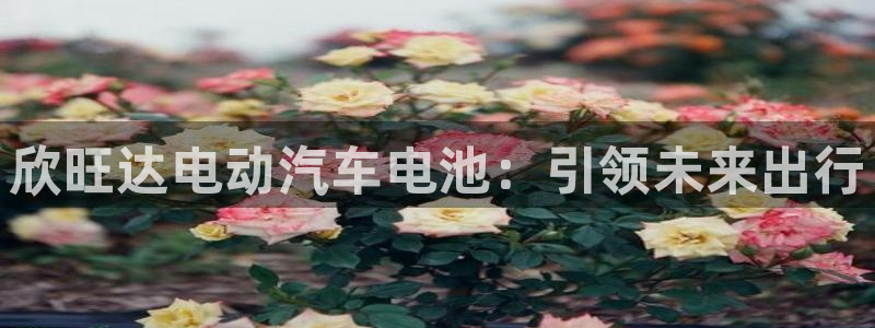 优发国际手机版唯一官网下载