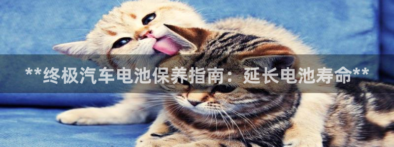 优发国际顶级