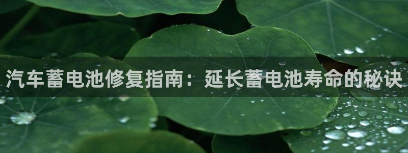 优发国际手机版客户端下载安装