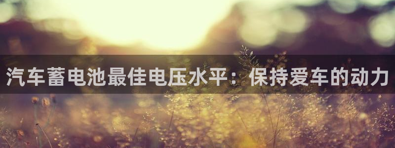 优发国际app登录密码