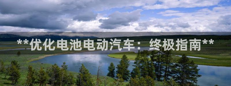 优发国际集团股份有限公司