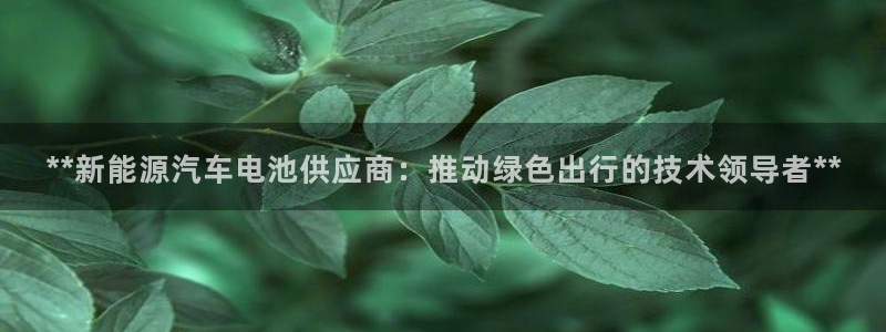 优发国际官网