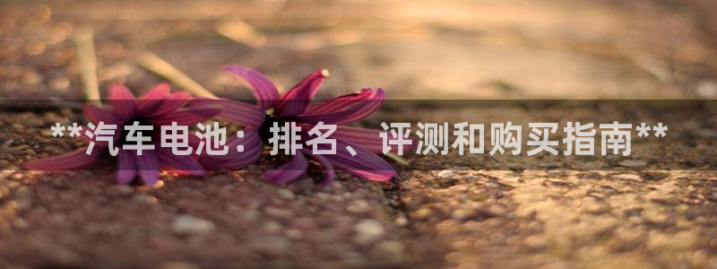 优发国际客服联系方式电话
