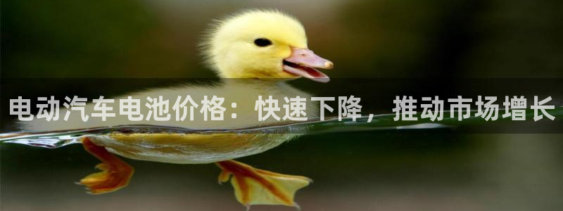 优发国际手机版唯一官网