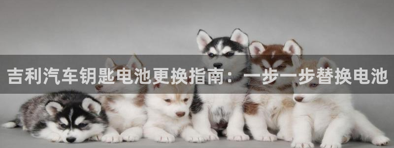 优发国际网官网址是多少