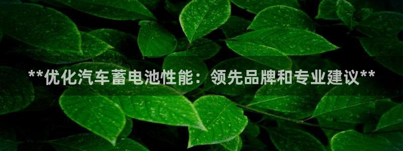 优发国际手机app下载安装