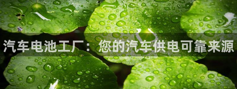 优发国际网官网