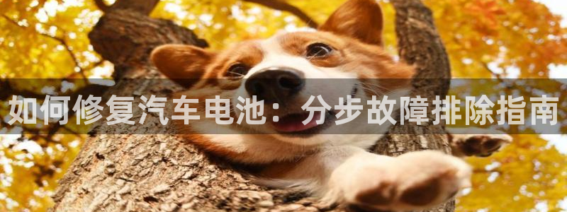 优发国际官方网手机版下载安卓