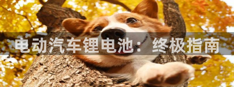 优发国际的官网是正品吗