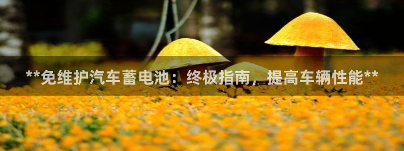 优发国际手机版网站官网