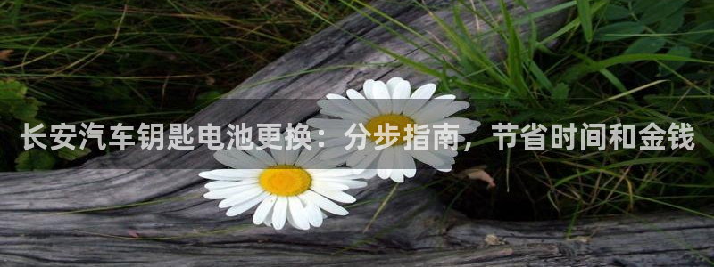 优发国际娱乐官网多少?
