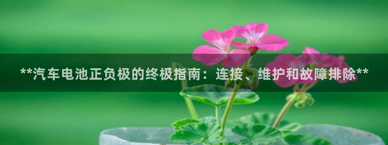 优发国际youfa