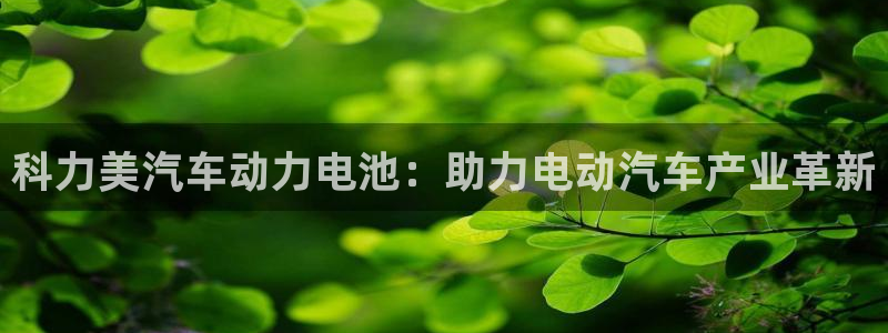 优发国际网站官网