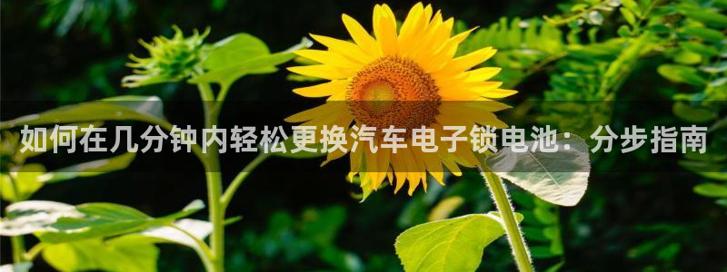 优发国际官方网手机版下载安卓
