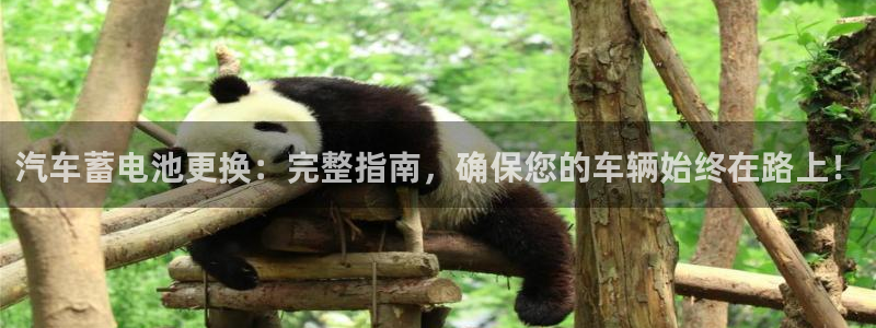 优发国际是大平台吗是真的吗