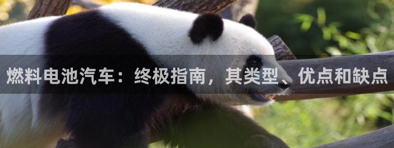优发国际官方网手机版下载安装