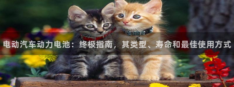 优发国际官方网手机版下载安装
