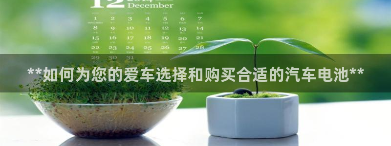 优发国际合并到哪里了