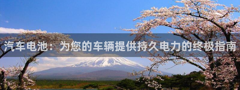 优发国际手机app下载安装