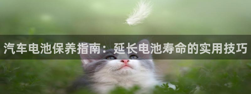 优发国际平台g80