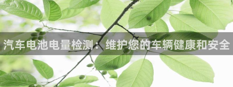 优发国际平台u8