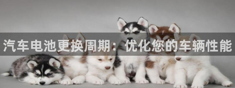 优发国际游戏n