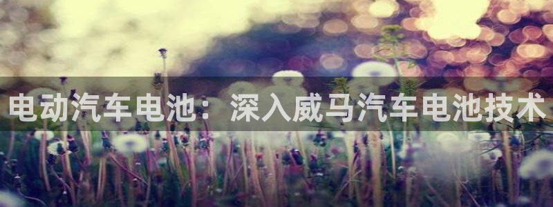 优发国际下载安装app