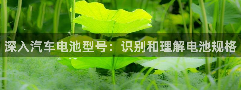 优发国际网官网址是多少