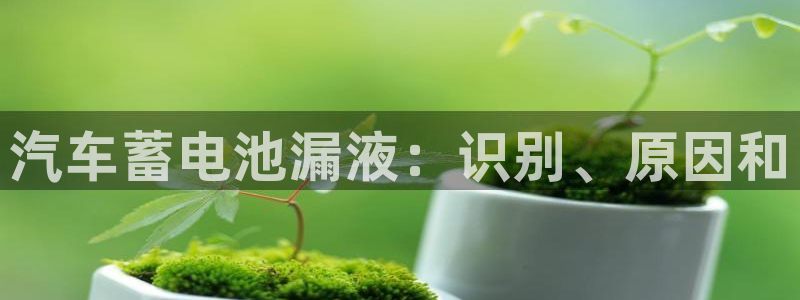 优发国际网官网址是多少