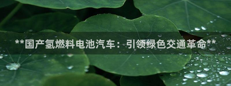 优发国际提现不了