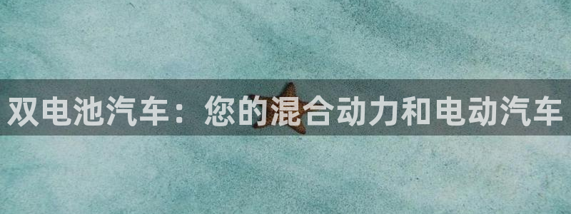优发国际集团股份有限公司招聘