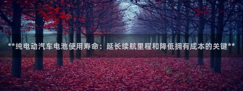 优发国际客服联系方式