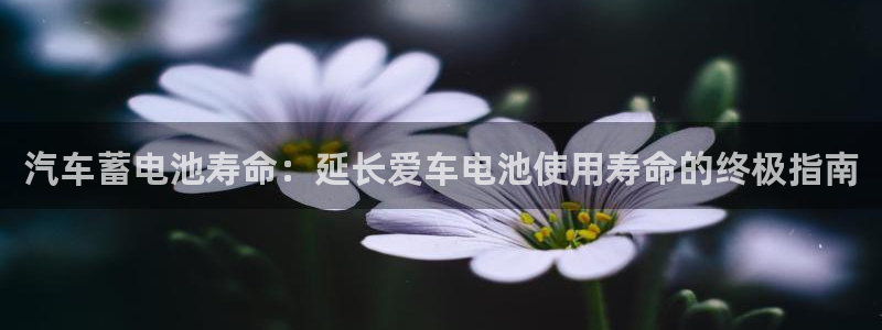 优发娱乐官网地址
