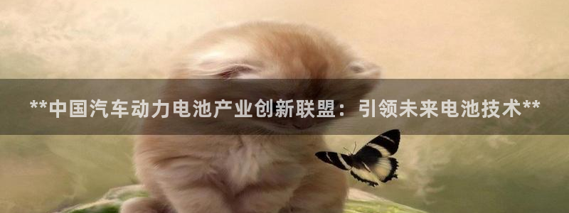 优发国际网官网17w8