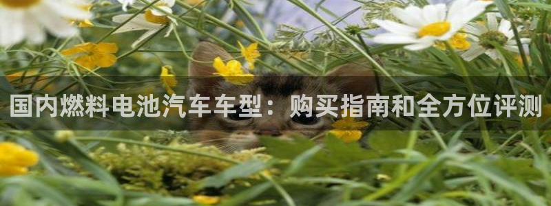 优发国际首页首页y6