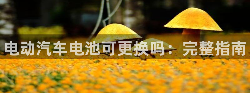 优发国际是大平台吗