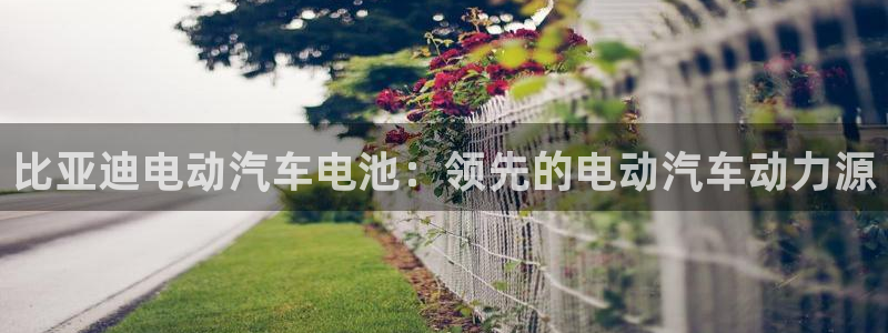 优发国际这个平台怎么样知乎