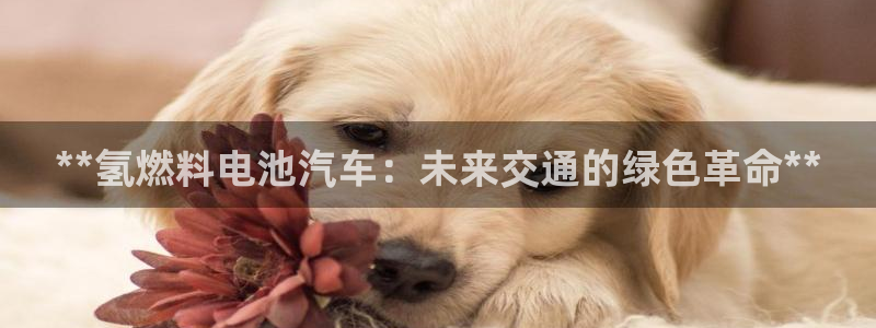 优发国际官网首页
